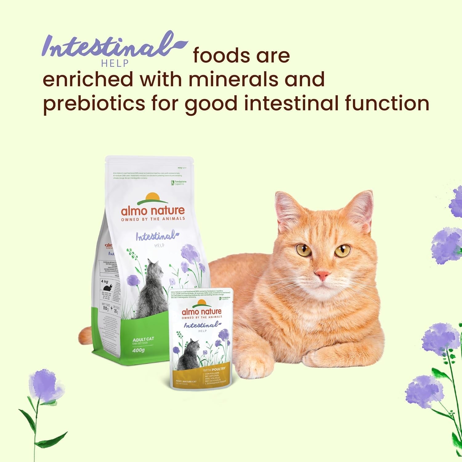 Almo Nature Functional – Darmhilfe – Nassfutter für erwachsene und ausgewachsene Katzen mit empfindlichem Darm – mit Geflügel – unterstützt das Mikrobiom – 70 g (30 Stück)