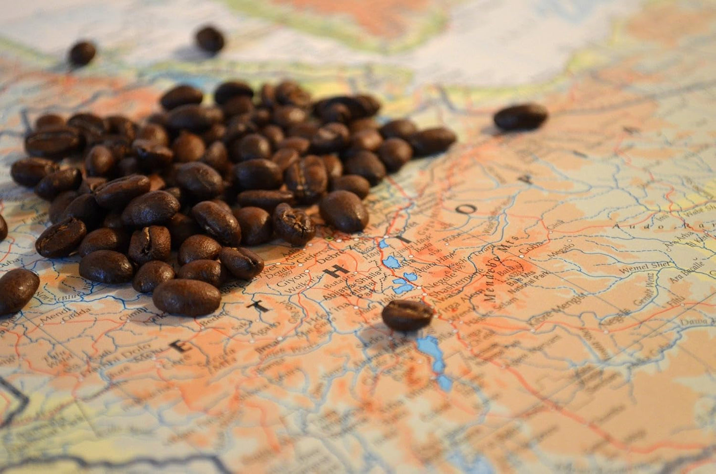 C&T Coffee Rarity – Wilder Kaffee aus Äthiopien, Afrika | 1000g Kaffee (ganze Bohnen) – Kräftig und fruchtig | + Wild angebaut + Handgepflückt + Sonnengetrocknet + Leicht geröstet