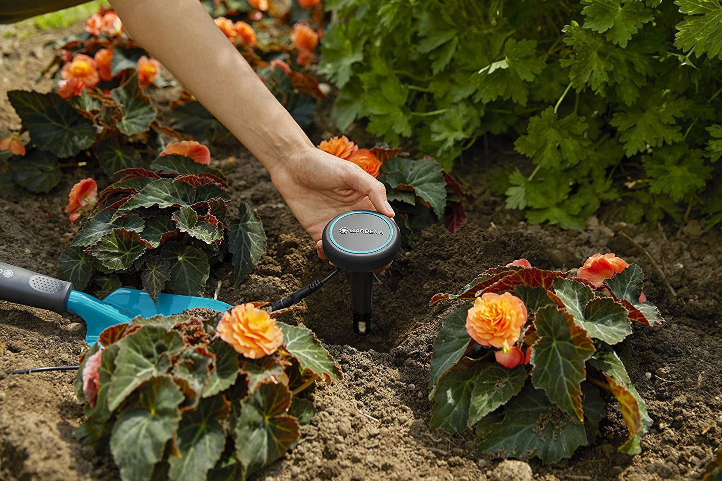 Gardena Verlängerungskabel (10 m) für Regensensor und Bodenfeuchtesensor, Verbindungskabel mit Easy Click System, verlängerbar bis 105 m, für ober- und unterirdischen Einsatz (01868-20)