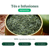 Bio-Gyokuro japanischer Grüntee (100 g) | Premium-Tee in loser Schüttung | Raffinierter Umami-Geschmack und zarte Süße | NEU PFLANZEN