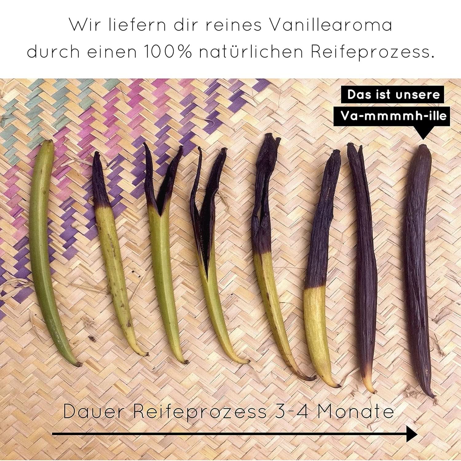 Premium-Vanillepulver aus echten Vanilleschoten, natürlich, zuckerfrei, ohne Zusatzstoffe, Fairtrade, vegan (40 g unverpackt) von Vanilla Campaign® Flavours Naty Shop