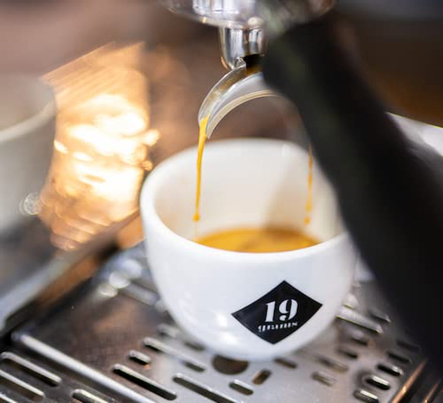 Italo Disco Espresso | 250g Bohne Gans | fair und nachhaltig | frisch geröstet | 100 % Arabica-Kaffeebohnen | Spezialitätenkaffee | 19 Gramm Kaffeerösterei