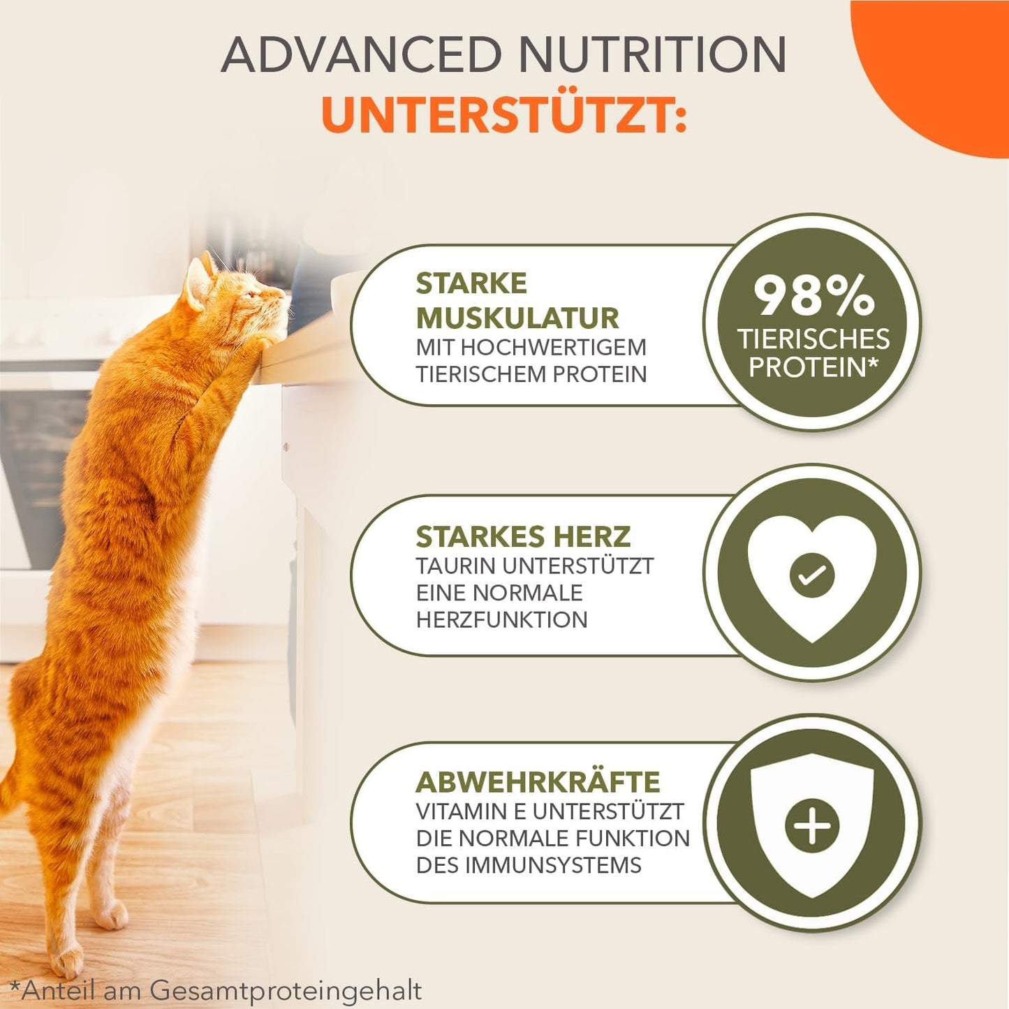 IAMS Delights Land Collection Getreidefreies Nassfutter für Katzen – Fleisch-Sortenpaket, Mehrfachpackung, getreidefreies Nassfutter für Katzen ab 1 Jahr, 12 x 85 g