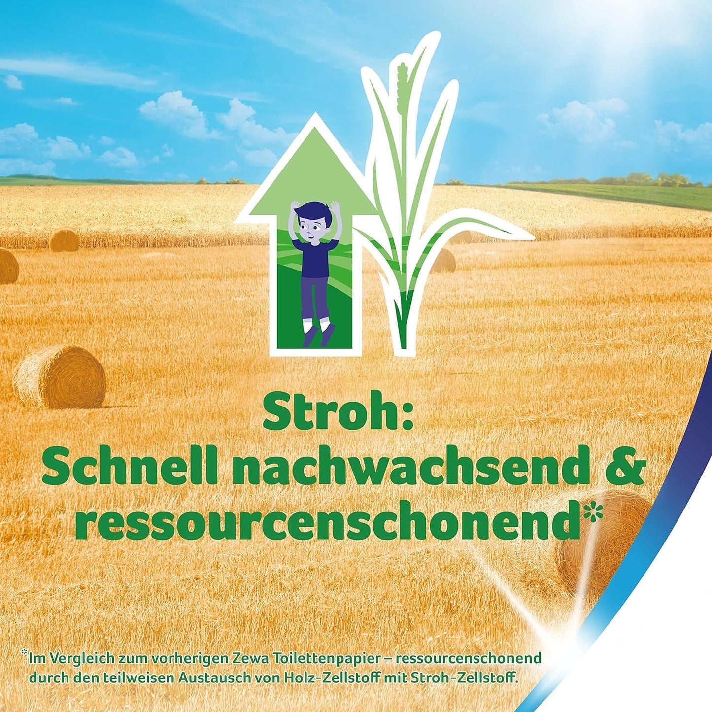 Zewa bewährtes Kamille-Toilettenpapier mit Strohhalm, 7 x 8 Rollen