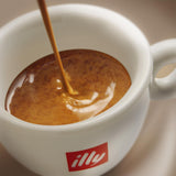 Illy Arabica Selection Guatemala Kaffeebohnen zum Mahlen, Box 250g