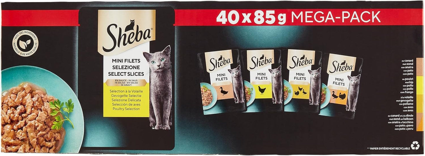 Sheba Mini Filets – Frische Filets in Sauce, Auswahl an Geflügel für ausgewachsene Katzen – 40 x 85 g