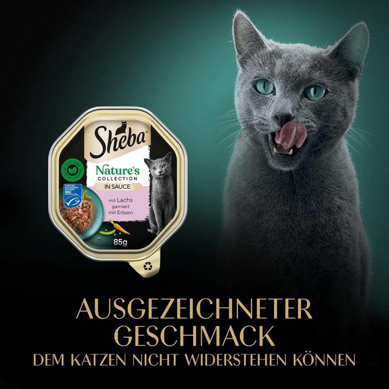 SHEBA Nassfutter für Katzen, Nature's Collection in Lachssauce, 2 x 11 x 85 g