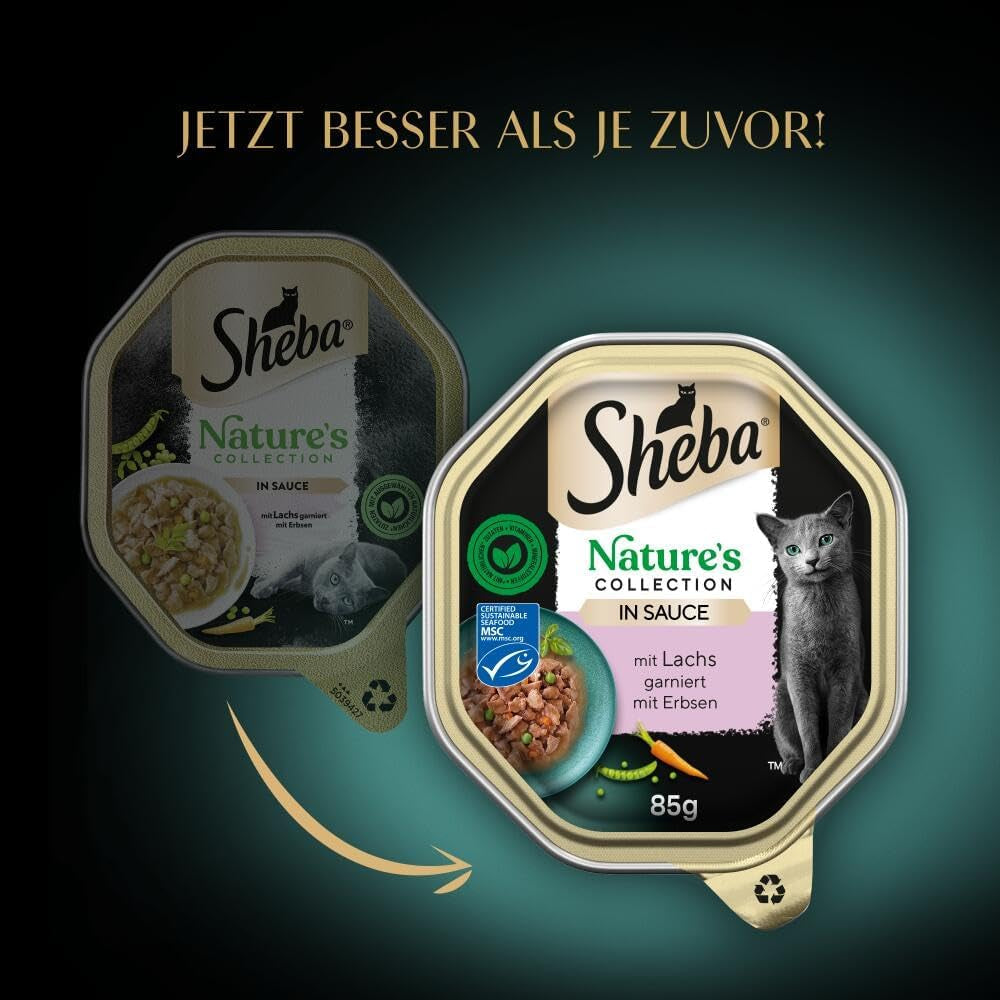 SHEBA Nassfutter für Katzen, Nature's Collection in Lachssauce, 2 x 11 x 85 g