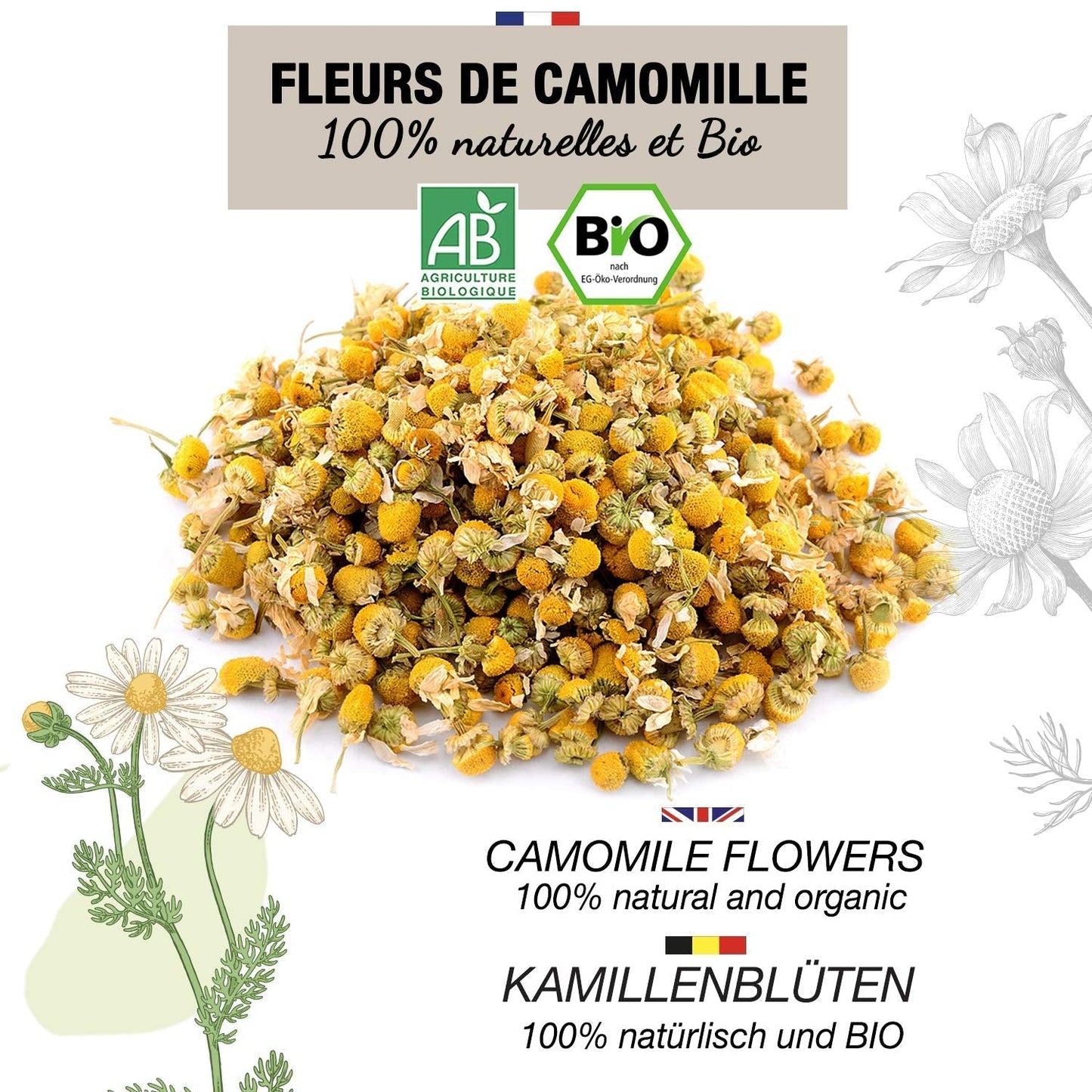 ORIGEENS Bio-Kamillenblütentee aus Europa, 100 g | Loser Blatttee, Bio-Tee für Schlaf und Verdauung | Deutsche Kamille | Zertifiziert und verpackt in Deutschland