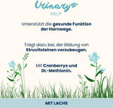 almo nature Functional Harnhilfe – Nassfutter für ausgewachsene Katzen mit Lachs – Unterstützt die Gesundheit der Harnwege – 30 Beutel à 70 g