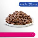 Perfect Fit Adult 1+ Nassfutter-Auswahl mit Lachs, Tiefseefisch, Rind und Huhn, 48 Beutel, 12x85g (4er-Pack) – Premium-Nassfutter für ausgewachsene Katzen ab 1 Jahr