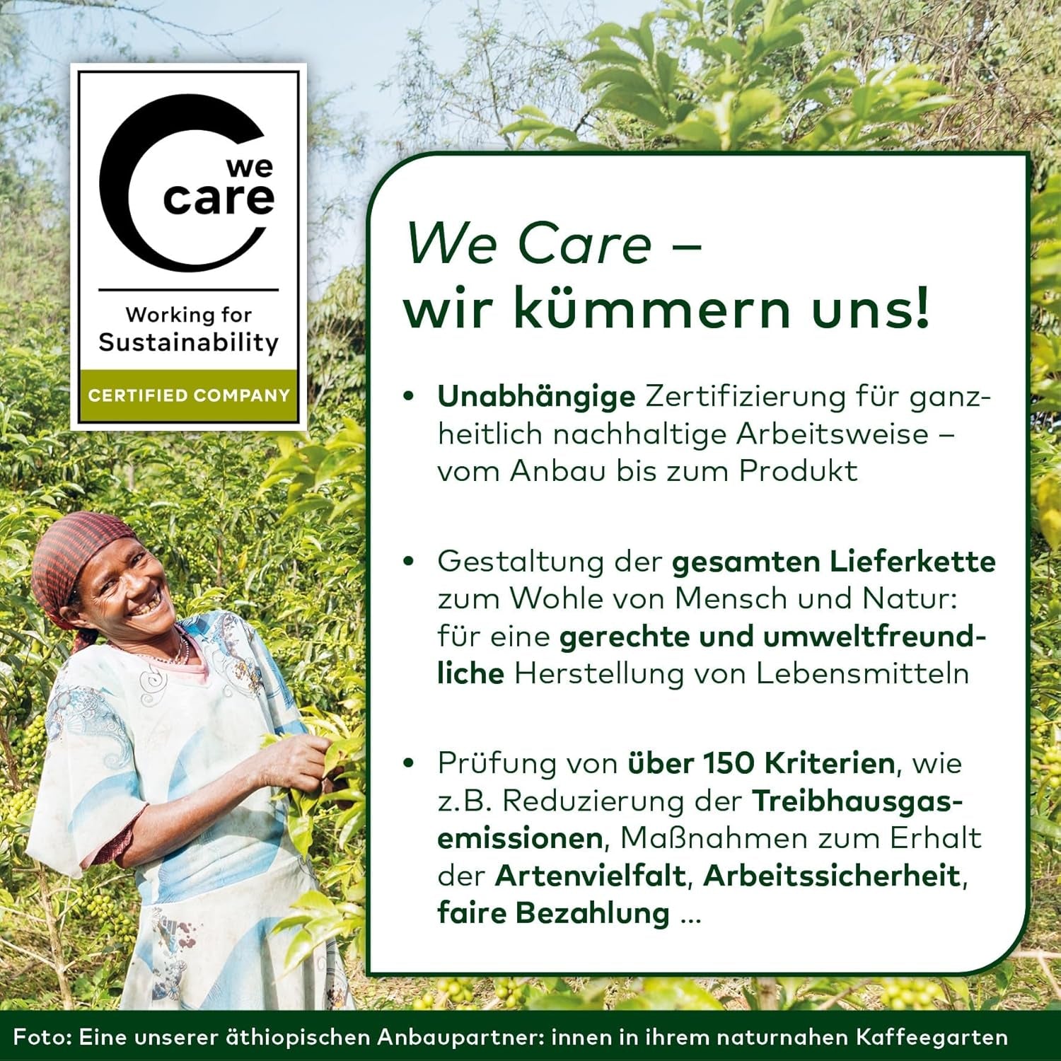 Lebensbaum Darjeeling Ganzblatt-Grüntee, Bio-Tee, Grüner Tee mit frischem Blumengeschmack, hellgrüne Farbe, 1000 g