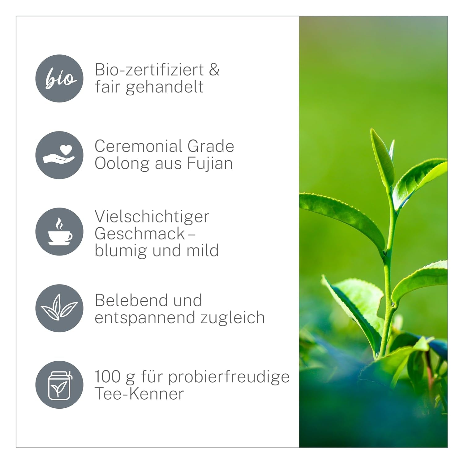 Ti Guan Yin Bio-Oolong-Tee 100 g – hochwertiger Bio-Oolong-Tee aus China – Wu Long (Zeremonialqualität) – für Teeliebhaber und Kenner – Mycupoftea