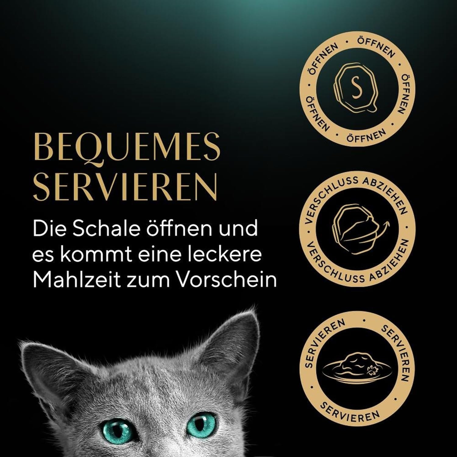 SHEBA Nassfutter für Katzen, Nature's Collection in Lachssauce, 2 x 11 x 85 g