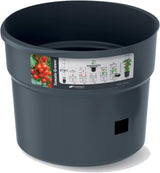 Prosperplast Tomatensämlingstöpfe mit Spalier – Stabiler Pflanzkasten aus Kunststoff | Anthrazit | Witterungs- und UV-beständig | 29,5 x 115,2 cm | Ideal für Garten und Terrasse