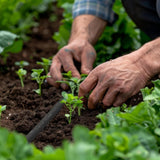 Relaxdays Tropfschlauch 50 m, Bewässerungsschlauch zur Bewässerung von hohen Lagen und Hecken, Gartenschlauch, schwarz