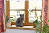 Decken und Möbel, Haustiere, Katzen, Betten für Katzen, Kratzmatten, Katzenbetten, Matratzen