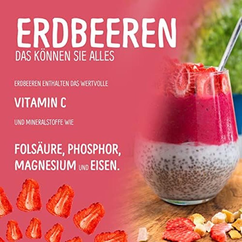 Bio-Fruchtsnacks für Kinder: 6x15g gefriergetrocknete Bio-Erdbeeren - Gefriergetrocknete Früchte - Trockenfrüchte - Kleine Racker von NutriPur Dehydrierte Produkte Naty Shop