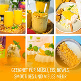 Gefriergetrocknete Mango: 100g gefriergetrocknete Früchte aus zarten Mangostücken ohne Zuckerzusatz - getrocknete Mango - getrocknete Mango - Trockenfrüchte - Trockenfrüchte von NutriPur Dehydrierte Produkte Naty Shop