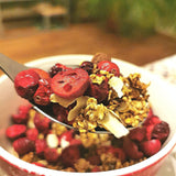 Gefriergetrocknete Cranberries ohne Zucker | XL 250g Gefriergetrocknete natürliche ungesüßte Cranberries | Gefriergetrocknete natürliche Wildfrüchte | Gefriergetrocknete Cranberries | ZingyZoo Dehydrierte Produkte Naty Shop