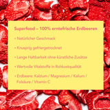 Mono gefriergetrocknete Chips – 300g Erdbeerchips aus 100 % natürlichen Erdbeeren – getrocknete tropische Früchte – getrocknete Erdbeerfrüchte – Snack für Müsli und Desserts – Erdbeerchips Dehydrierte Produkte Naty Shop