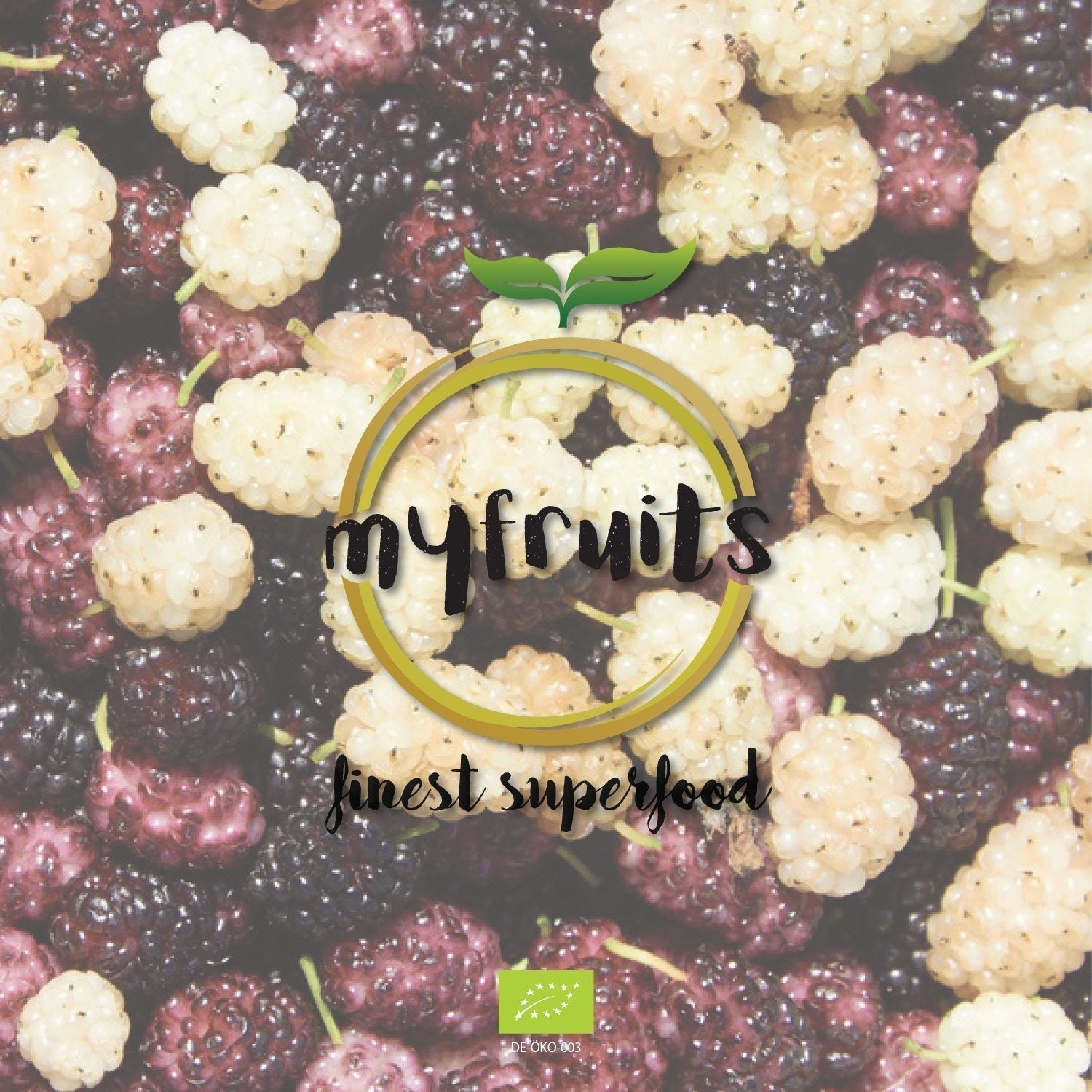myfruits Bio getrocknete Brombeeren, 750g, sonnengetrocknet, ohne Zusatzstoffe. Aus kontrolliert biologischem Anbau, getrocknete weiße Brombeeren, dehydrierte Produkte von Naty Shop