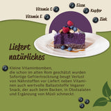 Mynatura Bio gefriergetrocknete Waldheidelbeeren I Heidelbeeren I Früchte I Beeren I Naturprodukt I Bio-Qualität I Beutel (1x 200g) Dehydrierte Produkte Naty Shop