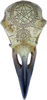 Omega Raven Skull Statuetten und Skulpturen Naty Shop