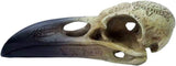 Omega Raven Skull Statuetten und Skulpturen Naty Shop