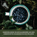 Bio-Wildheidelbeerpulver, gefriergetrocknete ganze Blaubeeren, 100 % Rohkostqualität, reich an Antioxidantien und Vitamin C, ohne Zuckerzusatz, in Nordeuropa geerntet. Trockenprodukte Naty Shop