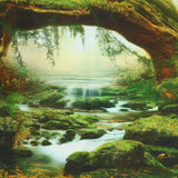 Psychedelischer Wandteppich, heller Wald, Wandteppich, Sonnenlicht, hängende Landschaft, Zuhause – Accessoires und Dekorationen, Naty Shop