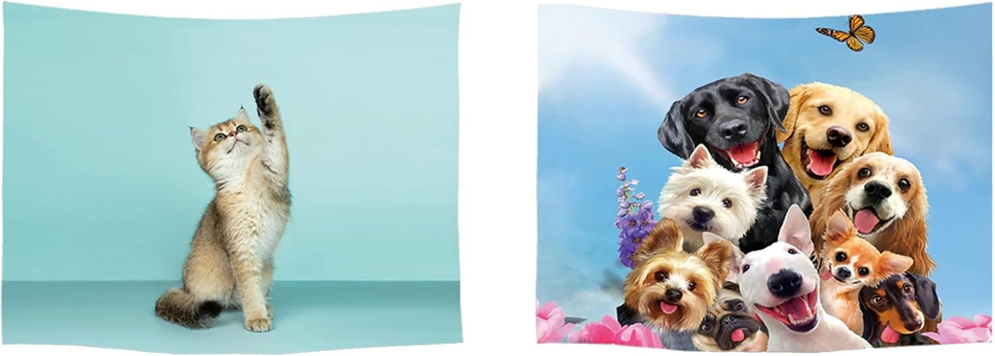 Wandteppich Ulticool Haus Strand Meer Palmeninsel Zuhause – Accessoires und Dekorationen Naty Shop Hund Katze