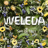 WELEDA Bio Baby Calendula Pflegecreme Körper & Gesicht 75ml – Gesichtscreme / Hautcreme für Naturkosmetik mit Sesamöl und Lanolin zur Pflege trockener Haut. Feuchtigkeitsspendende Pflegecreme für Babys und Kinder Kinder - Bade- und Hautpflege Naty Shop